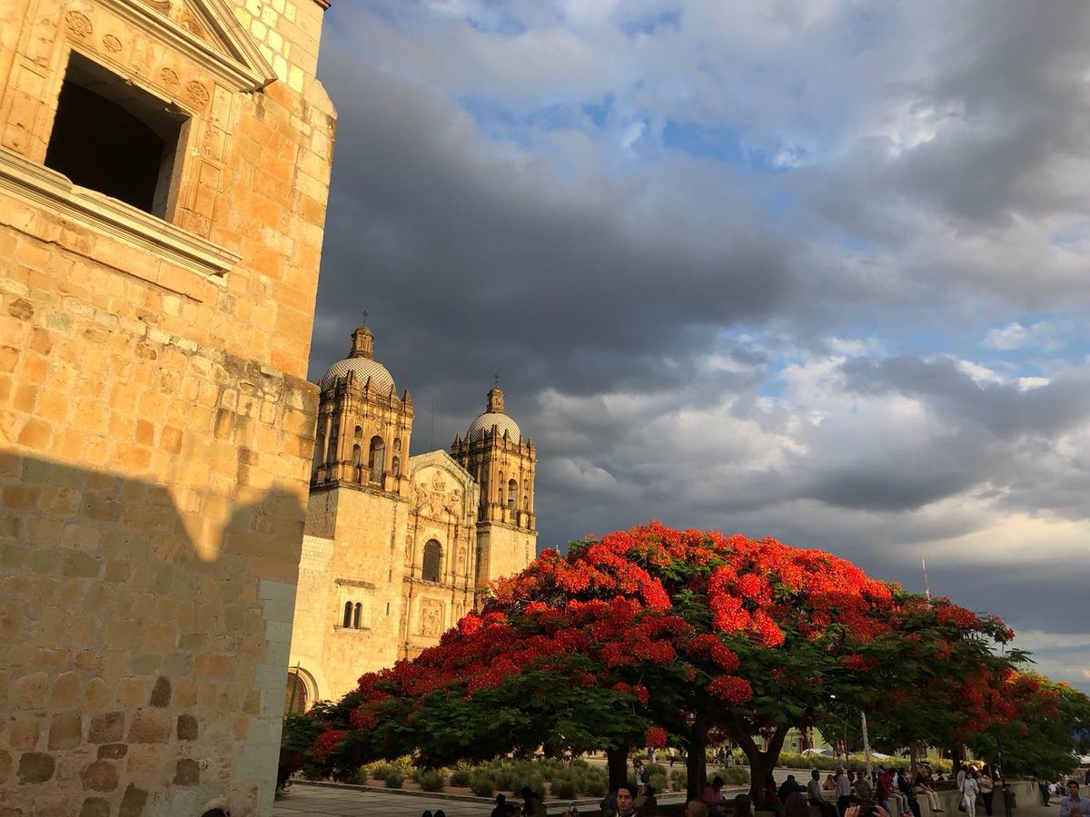 Suites Parador Santo Domingo De G. Oaxaca Luaran gambar